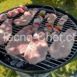 Weber Compact Kettle opiniones