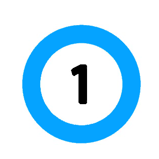 opción 1