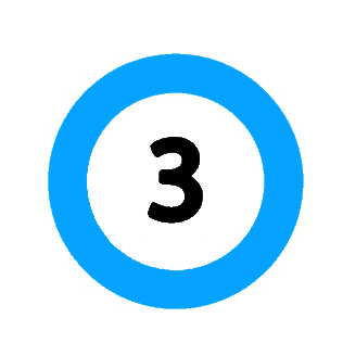 opción 3
